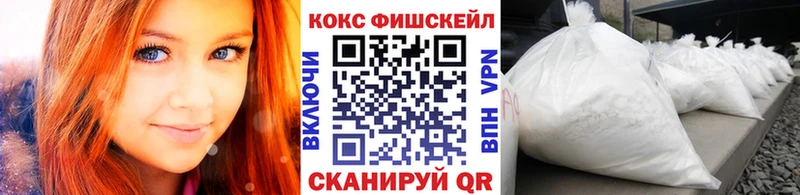 Cocaine Fish Scale  купить наркотики сайты  Курган 