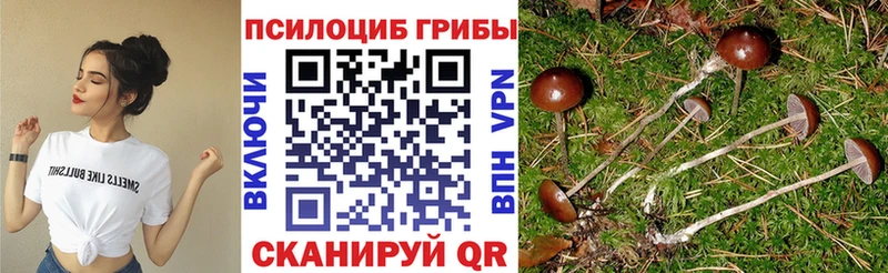 Псилоцибиновые грибы мухоморы  Курган 